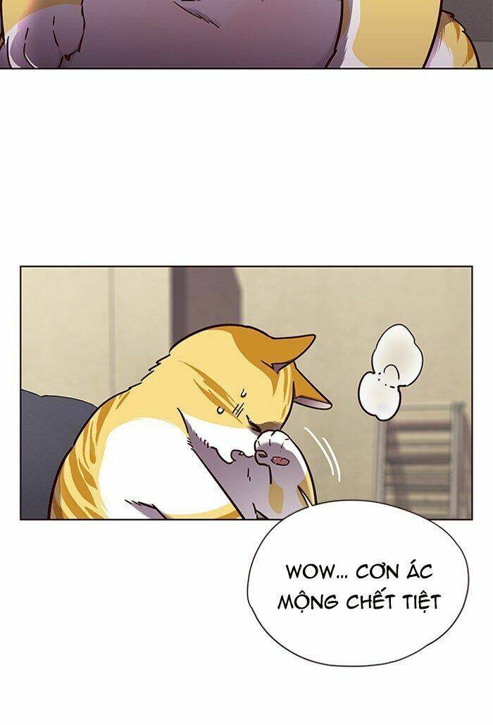 Hoá Thân Thành Mèo - Chapter 65 - Page 11