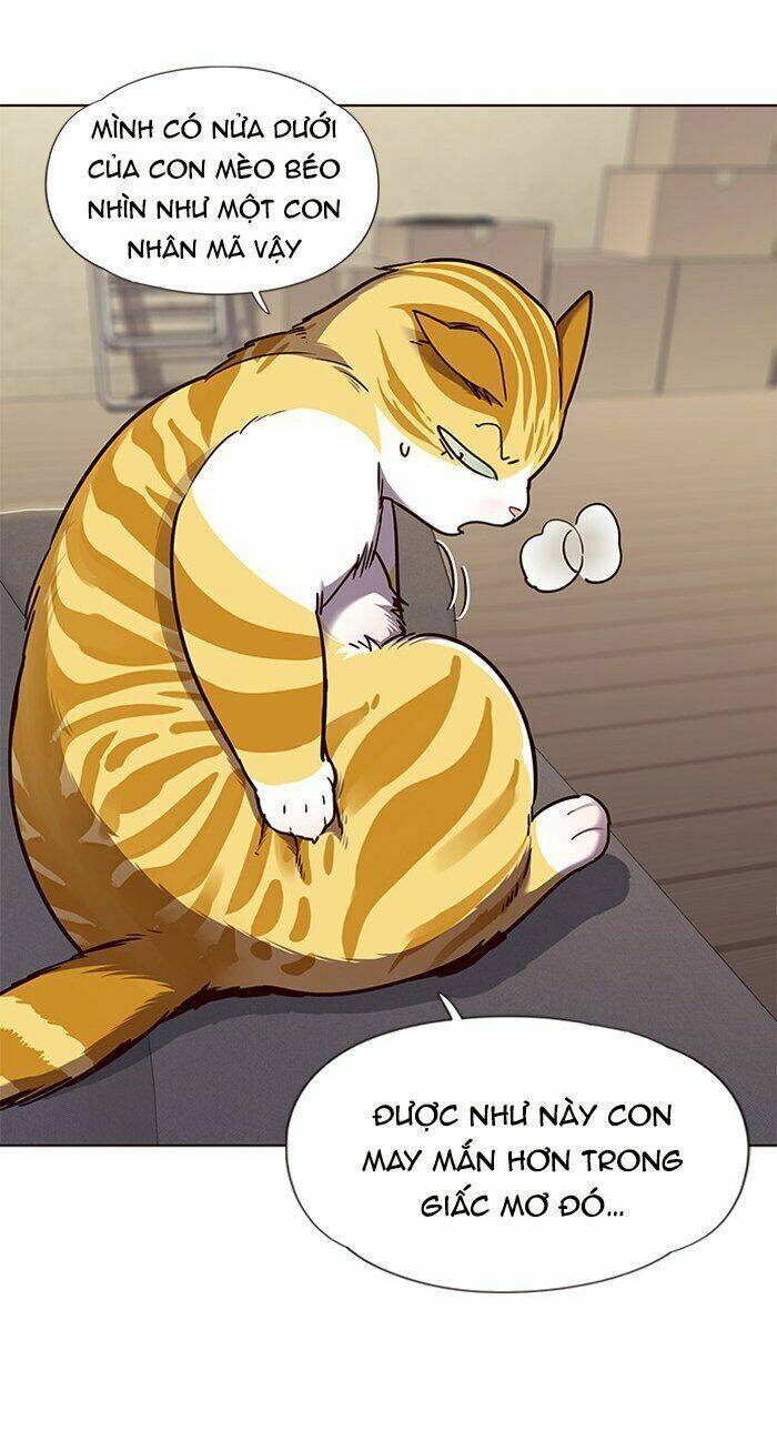 Hoá Thân Thành Mèo - Chapter 65 - Page 12