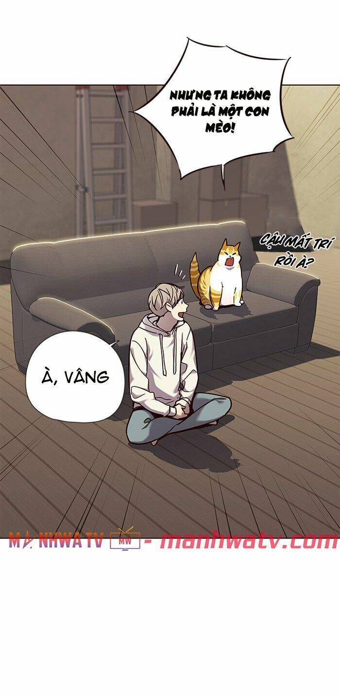Hoá Thân Thành Mèo - Chapter 65 - Page 16