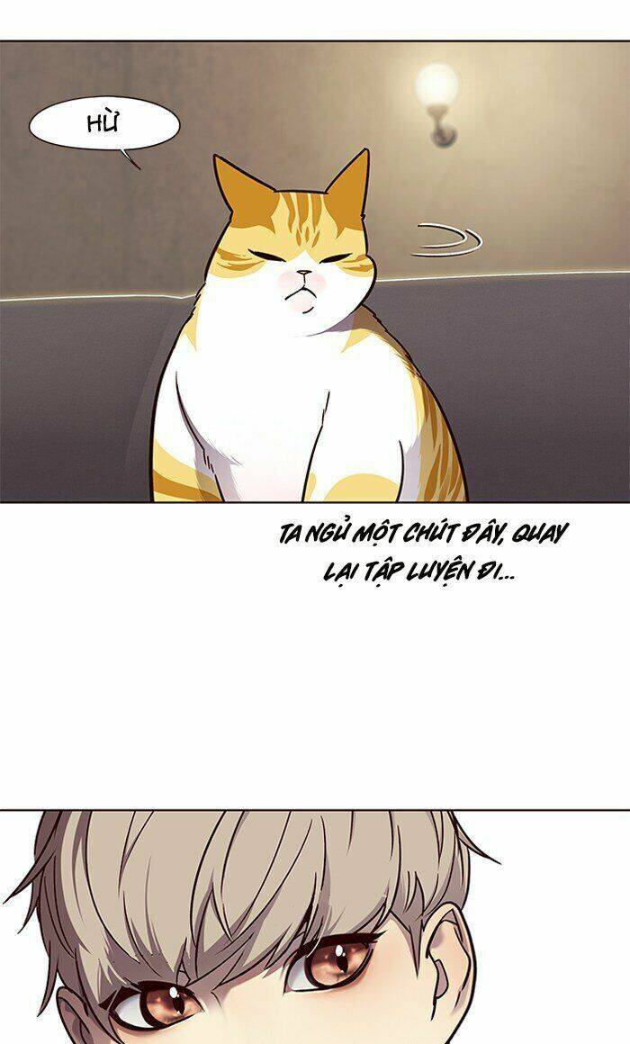 Hoá Thân Thành Mèo - Chapter 65 - Page 17