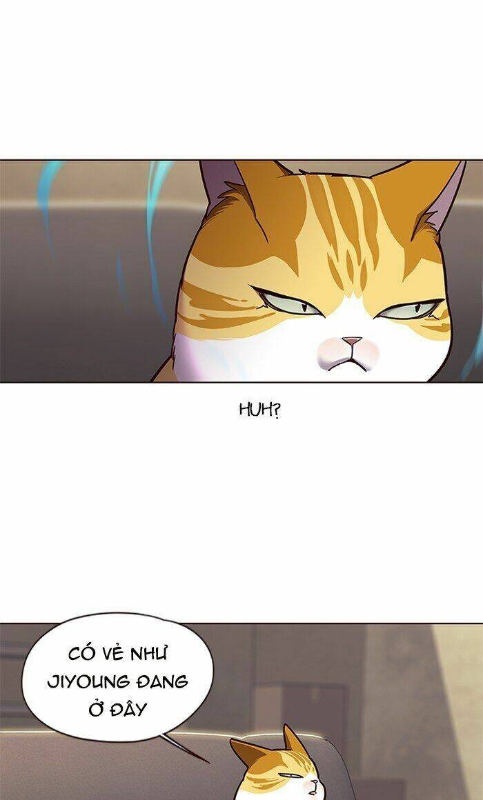 Hoá Thân Thành Mèo - Chapter 65 - Page 23
