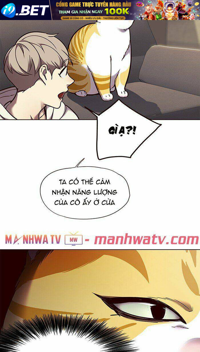 Hoá Thân Thành Mèo - Chapter 65 - Page 24