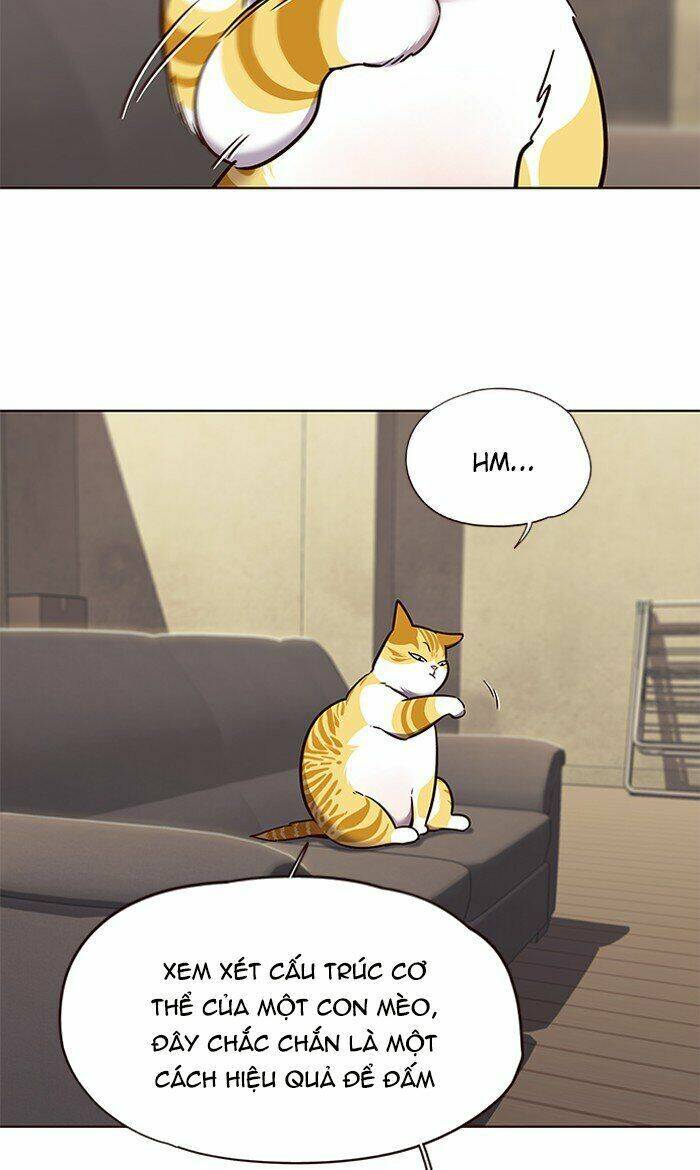Hoá Thân Thành Mèo - Chapter 65 - Page 67