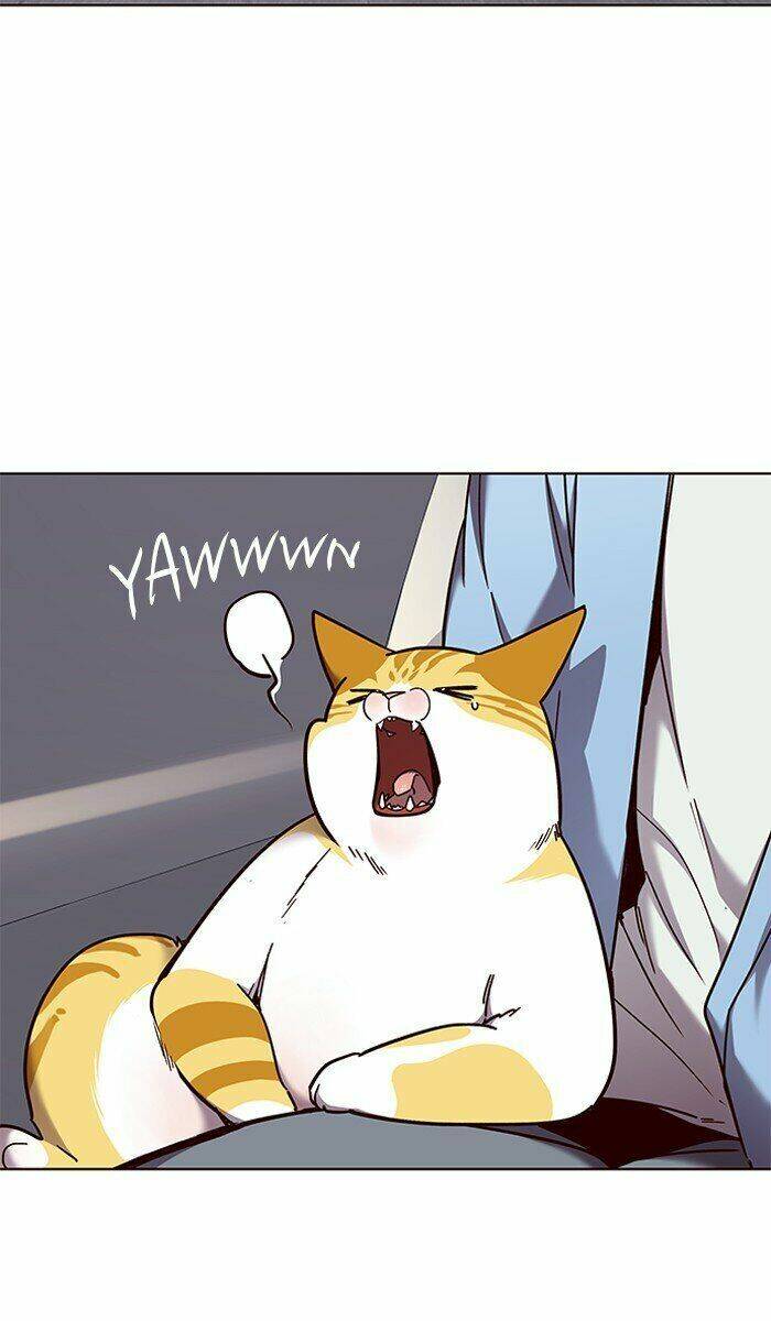 Hoá Thân Thành Mèo - Chapter 67 - Page 32