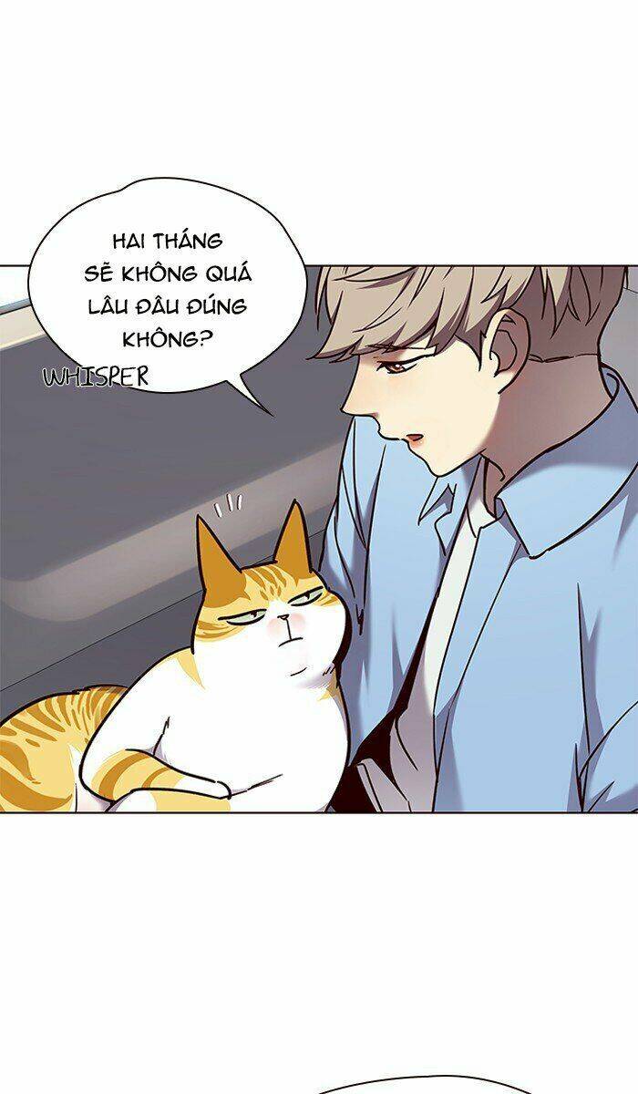 Hoá Thân Thành Mèo - Chapter 67 - Page 33