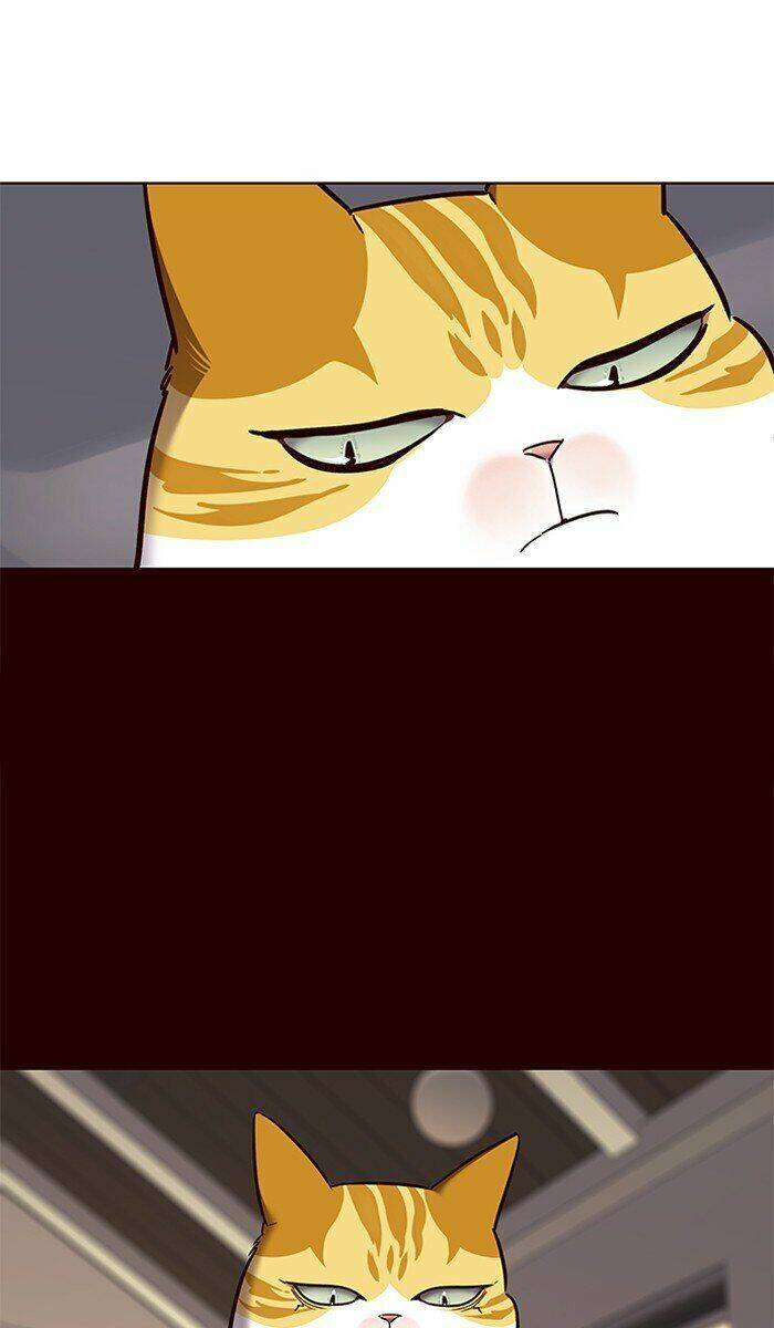 Hoá Thân Thành Mèo - Chapter 67 - Page 36