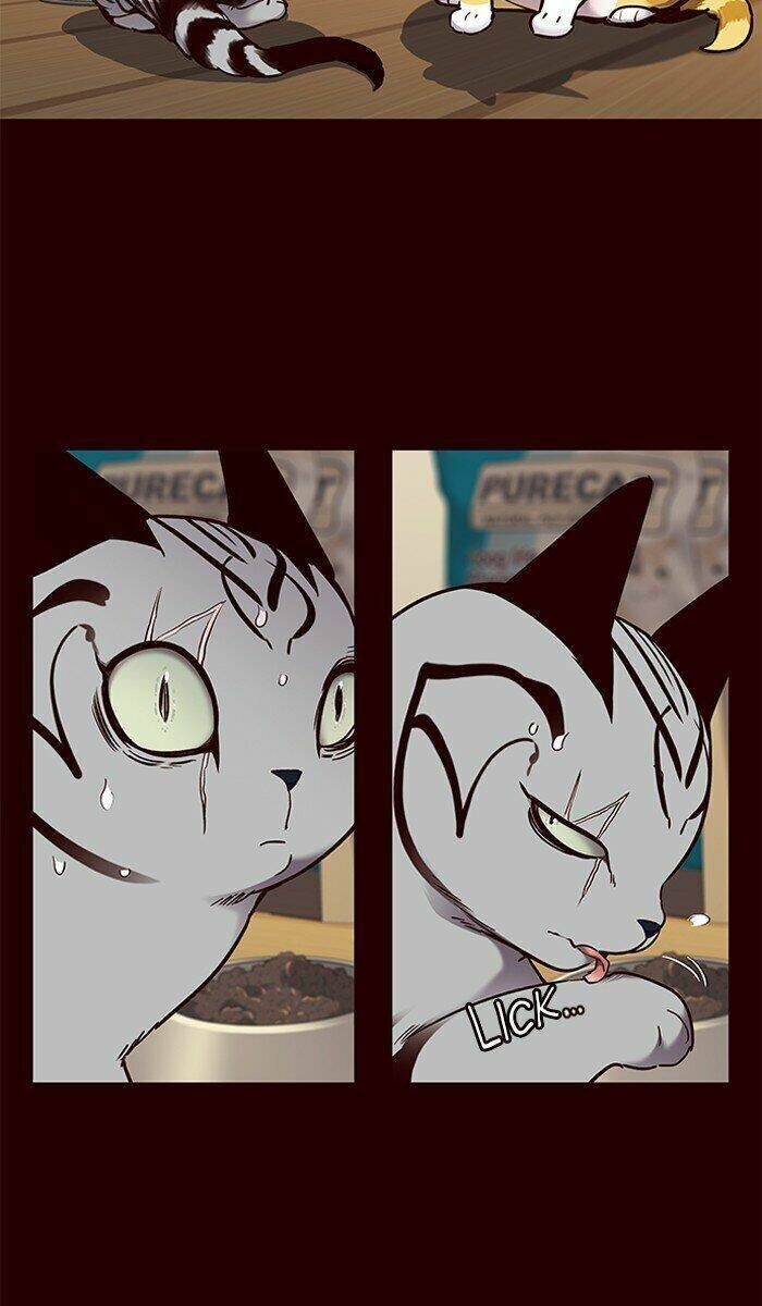 Hoá Thân Thành Mèo - Chapter 67 - Page 38