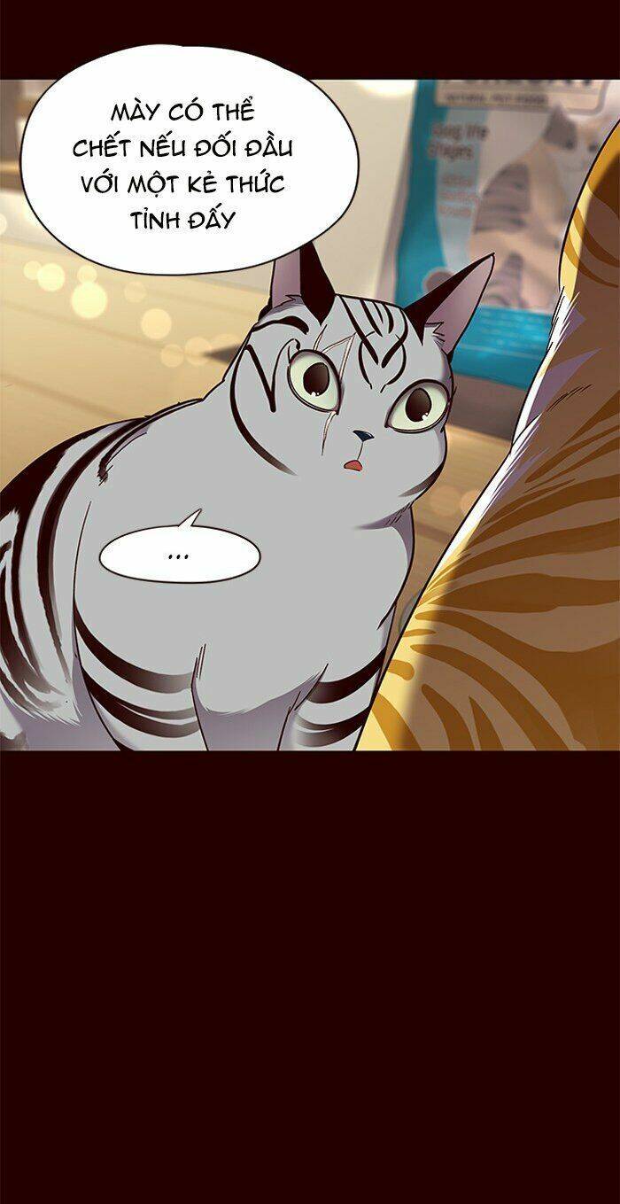 Hoá Thân Thành Mèo - Chapter 67 - Page 40