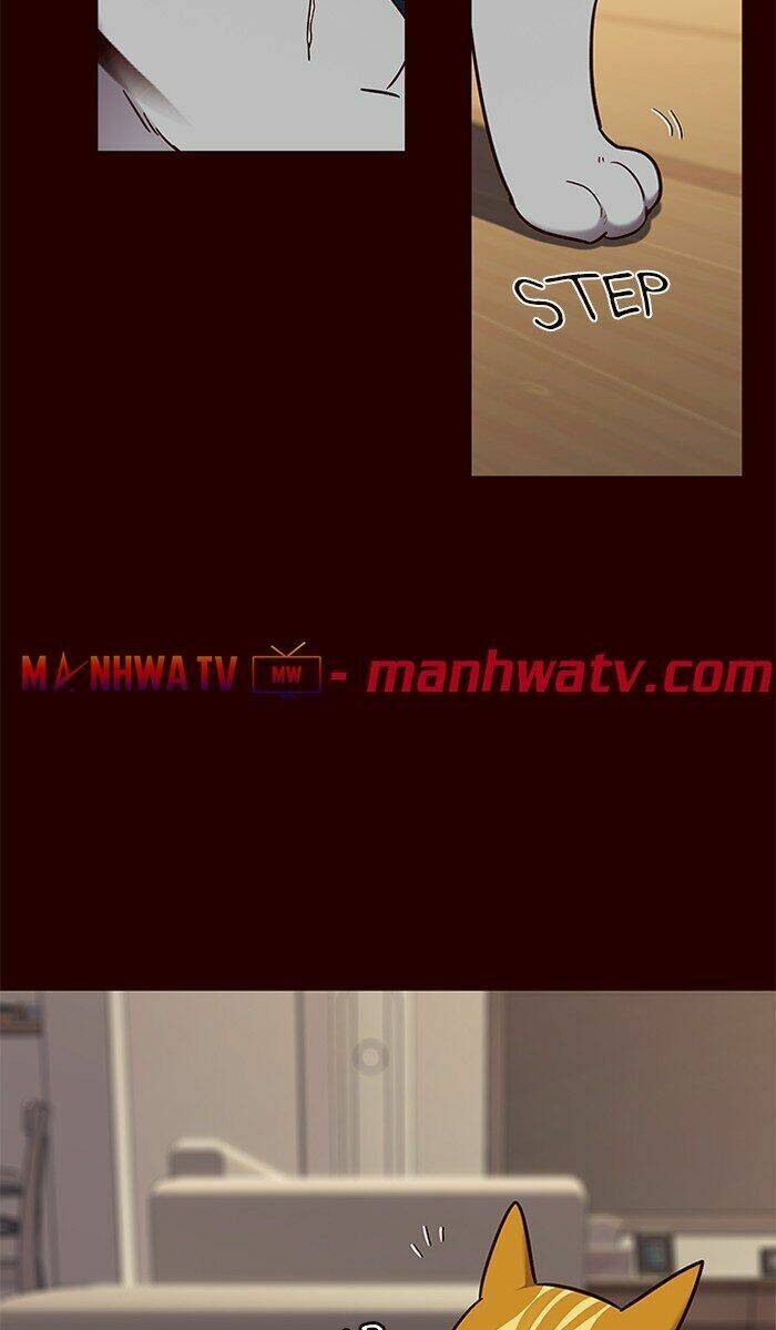 Hoá Thân Thành Mèo - Chapter 67 - Page 42