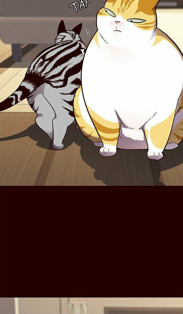 Hoá Thân Thành Mèo - Chapter 67 - Page 43