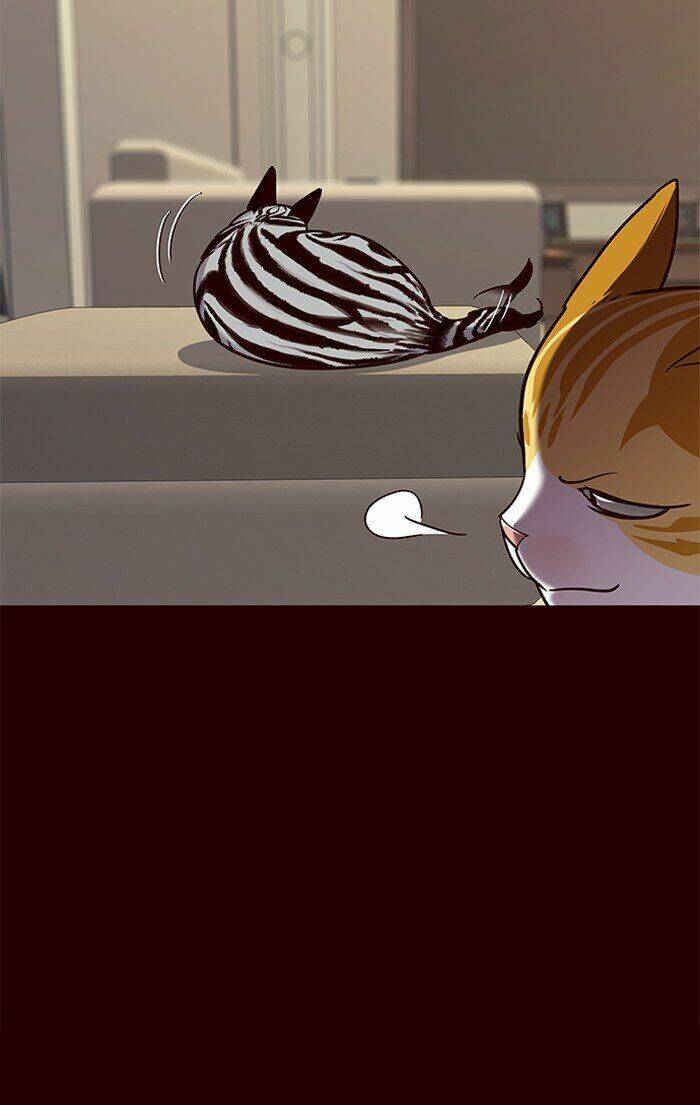 Hoá Thân Thành Mèo - Chapter 67 - Page 44