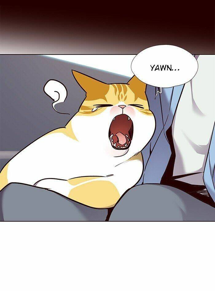 Hoá Thân Thành Mèo - Chapter 67 - Page 45
