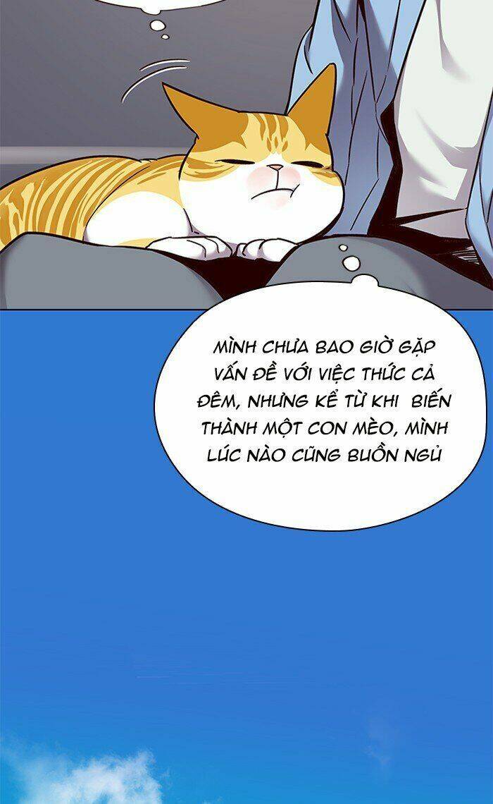 Hoá Thân Thành Mèo - Chapter 67 - Page 47