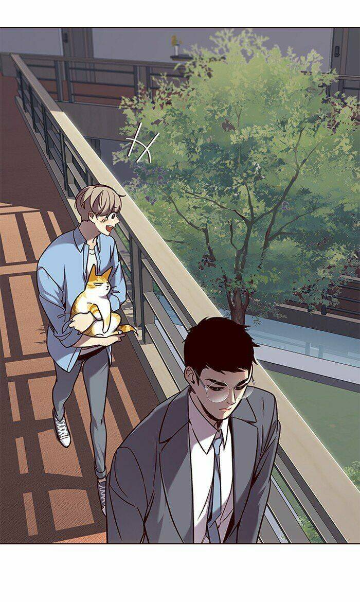 Hoá Thân Thành Mèo - Chapter 68 - Page 29