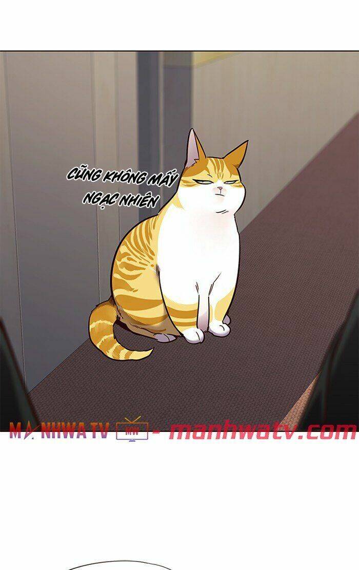 Hoá Thân Thành Mèo - Chapter 68 - Page 70