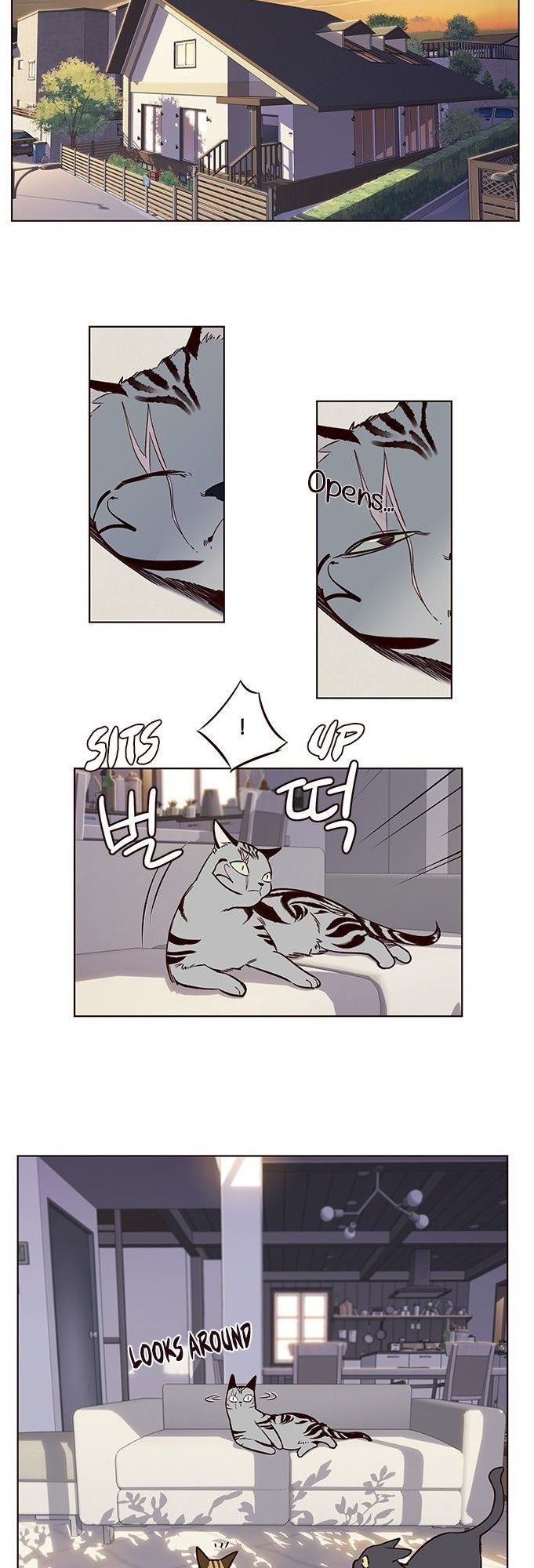 Hoá Thân Thành Mèo - Chapter 7 - Page 35