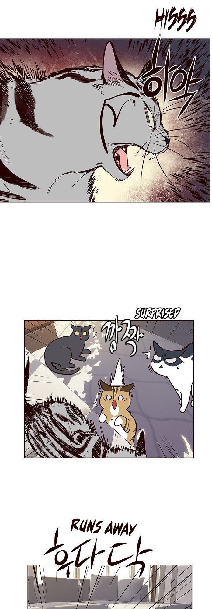 Hoá Thân Thành Mèo - Chapter 7 - Page 38