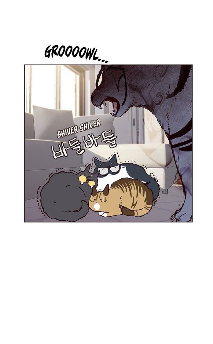 Hoá Thân Thành Mèo - Chapter 7 - Page 40