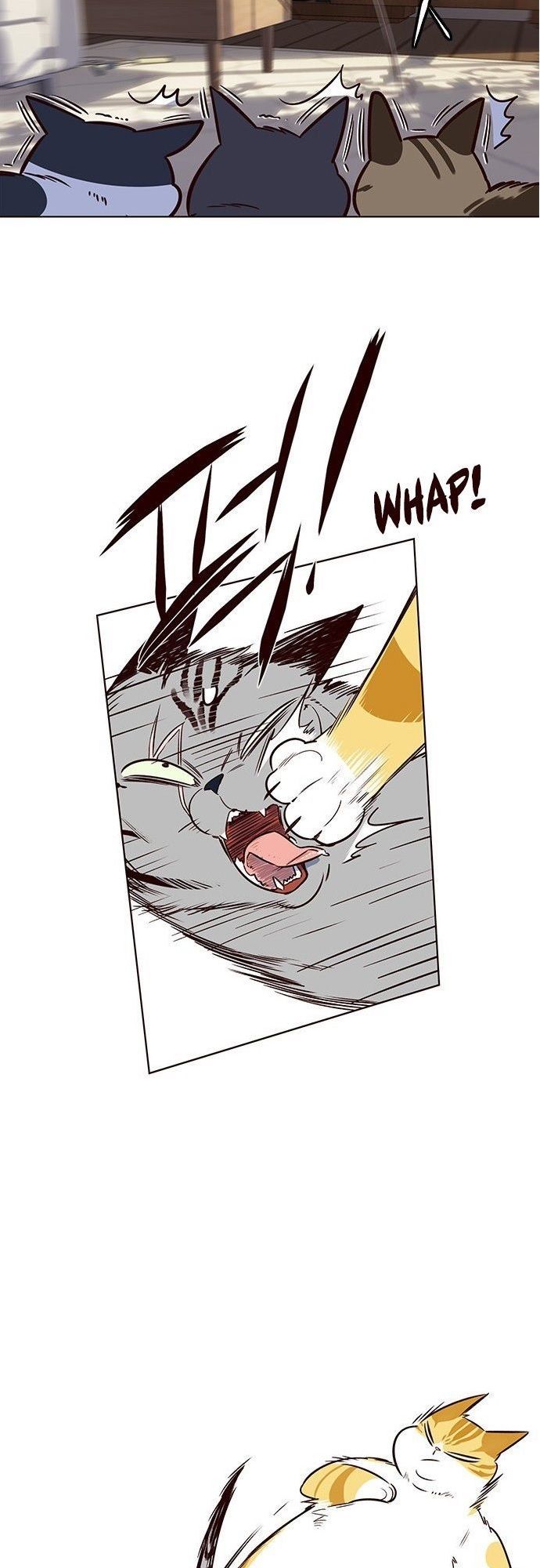 Hoá Thân Thành Mèo - Chapter 7 - Page 42