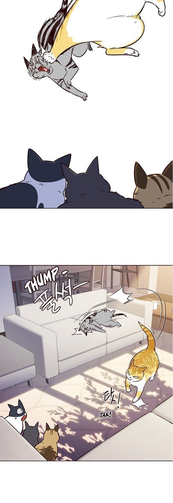 Hoá Thân Thành Mèo - Chapter 7 - Page 43