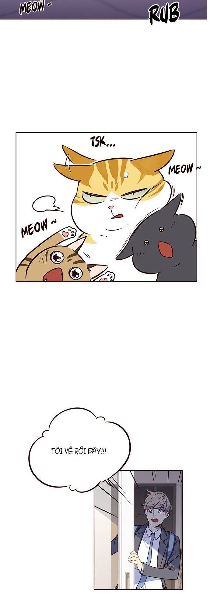 Hoá Thân Thành Mèo - Chapter 7 - Page 46