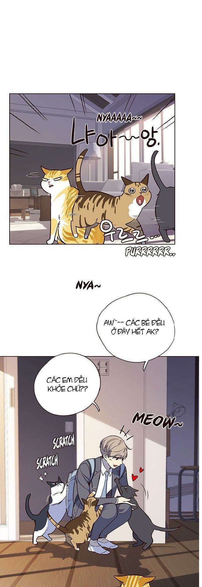 Hoá Thân Thành Mèo - Chapter 7 - Page 47