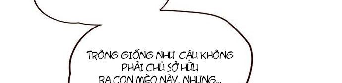 Hoá Thân Thành Mèo - Chapter 7 - Page 54