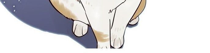 Hoá Thân Thành Mèo - Chapter 7 - Page 8