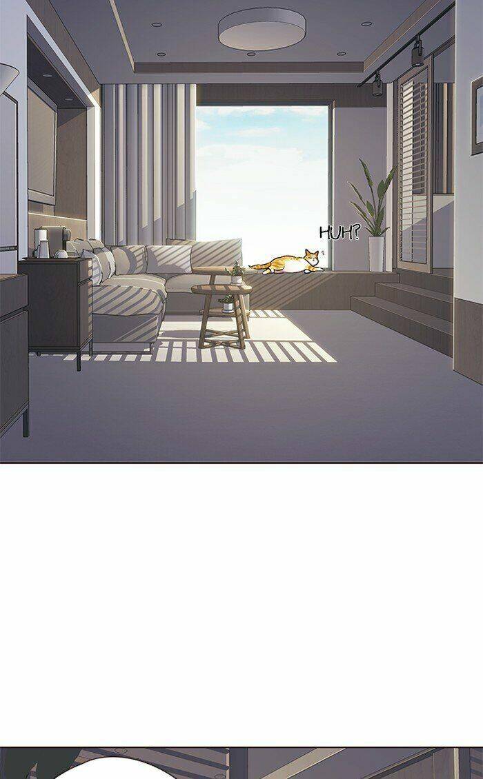 Hoá Thân Thành Mèo - Chapter 70 - Page 3