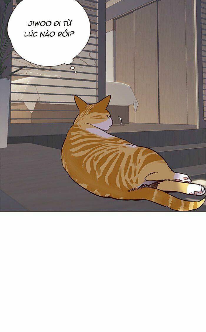 Hoá Thân Thành Mèo - Chapter 70 - Page 4