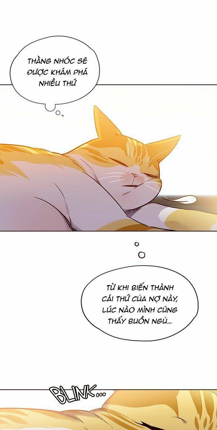 Hoá Thân Thành Mèo - Chapter 70 - Page 6