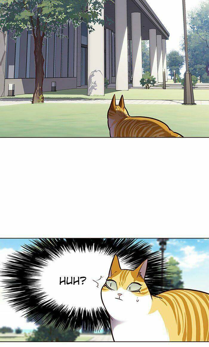 Hoá Thân Thành Mèo - Chapter 71 - Page 67