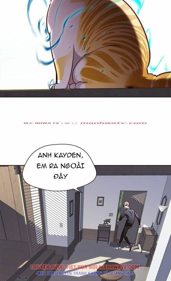 Hoá Thân Thành Mèo - Chapter 73 - Page 21