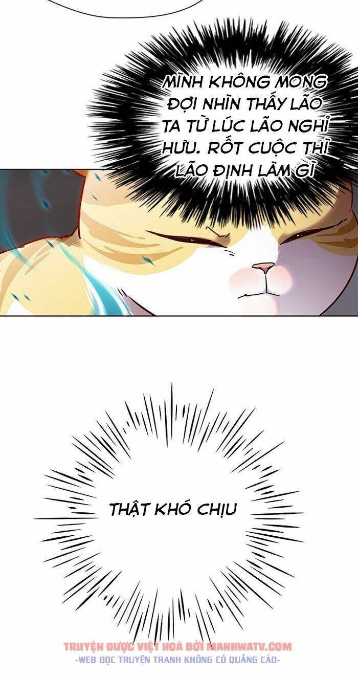 Hoá Thân Thành Mèo - Chapter 73 - Page 23