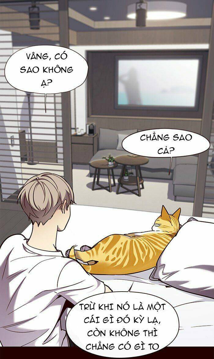 Hoá Thân Thành Mèo - Chapter 75 - Page 38