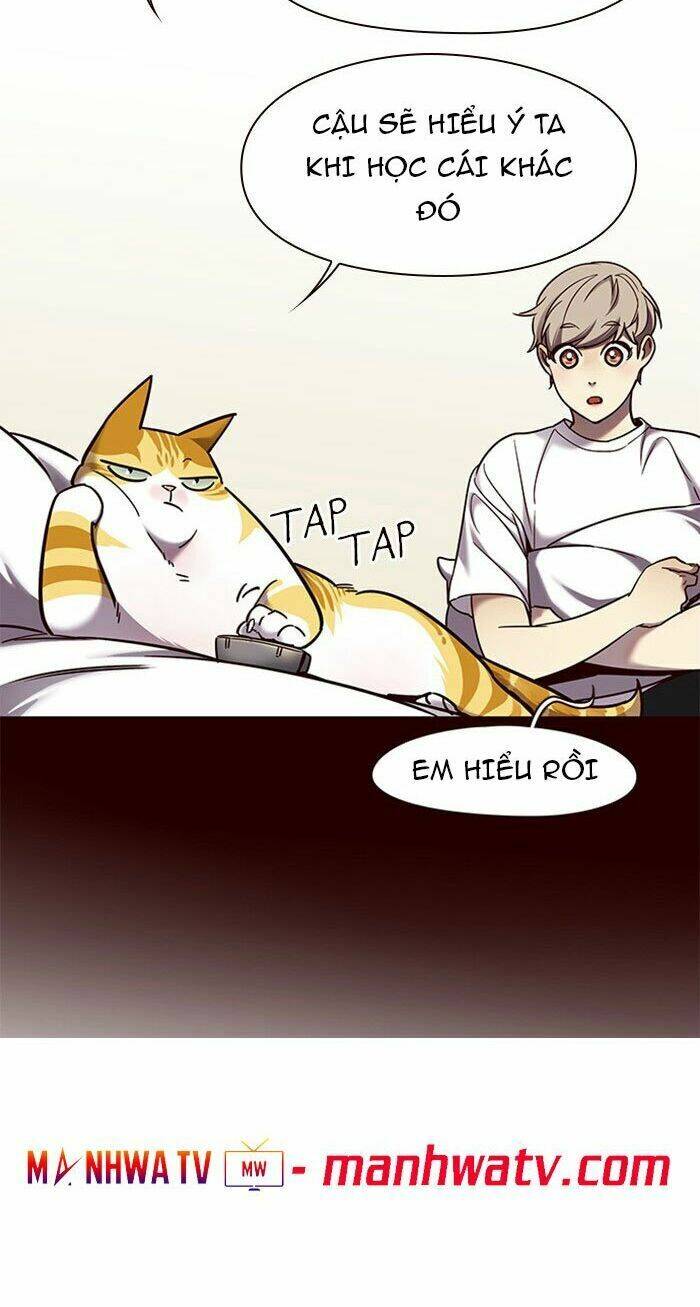 Hoá Thân Thành Mèo - Chapter 75 - Page 41