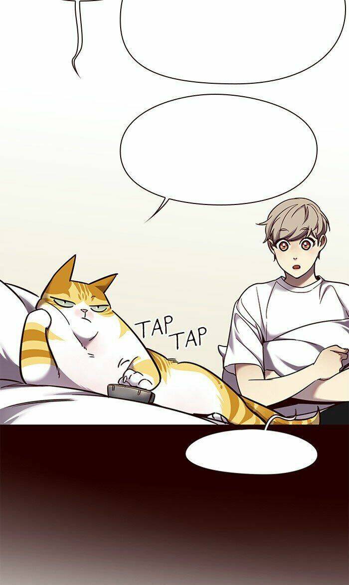 Hoá Thân Thành Mèo - Chapter 75 - Page 42