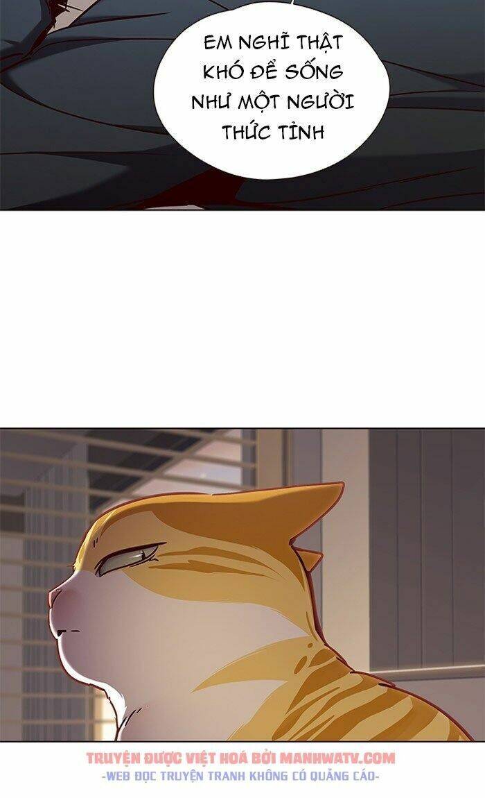 Hoá Thân Thành Mèo - Chapter 76 - Page 87
