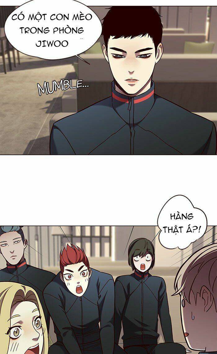 Hoá Thân Thành Mèo - Chapter 78 - Page 72