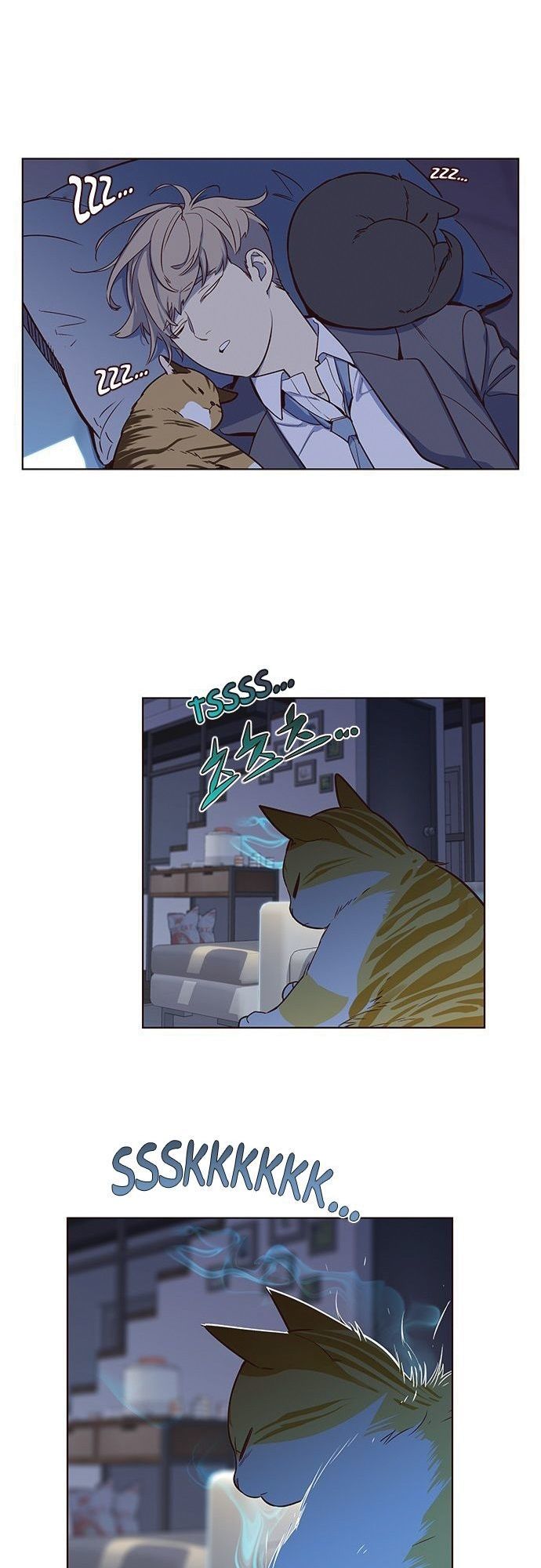 Hoá Thân Thành Mèo - Chapter 8 - Page 13