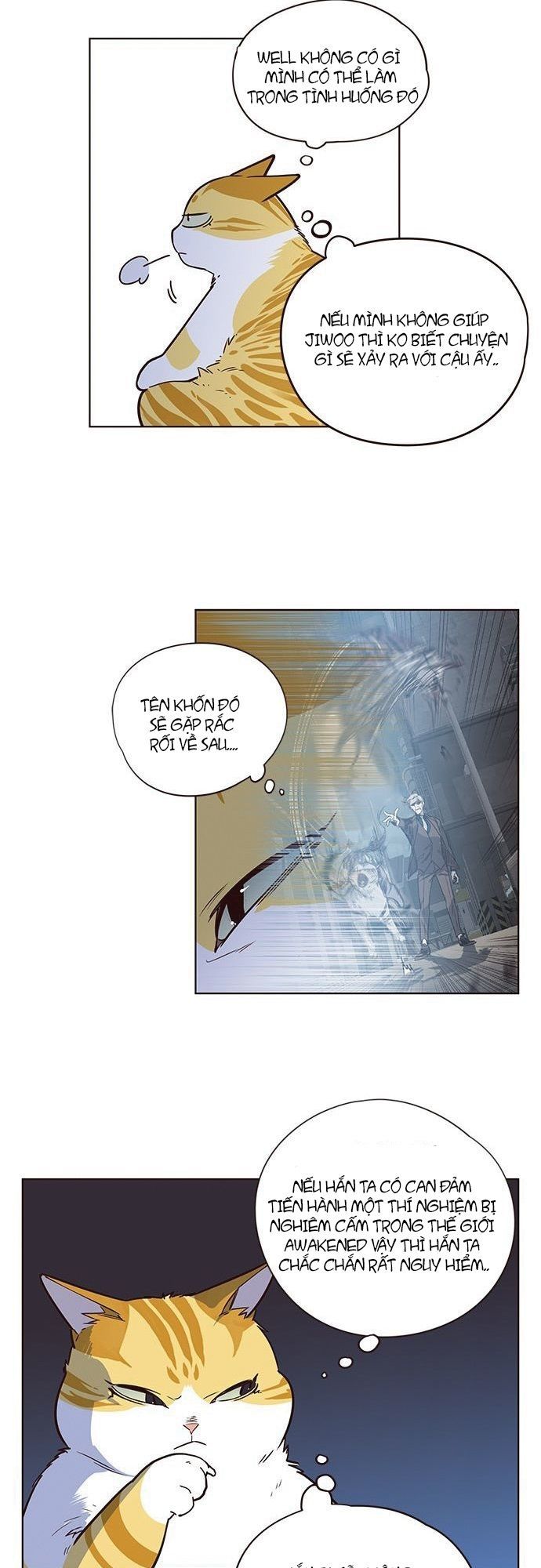 Hoá Thân Thành Mèo - Chapter 8 - Page 17