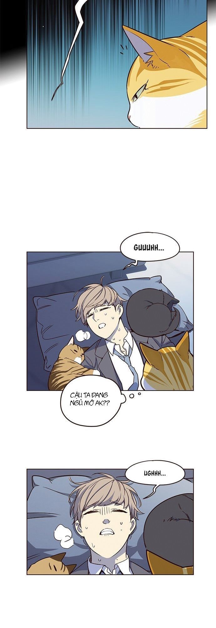 Hoá Thân Thành Mèo - Chapter 8 - Page 20