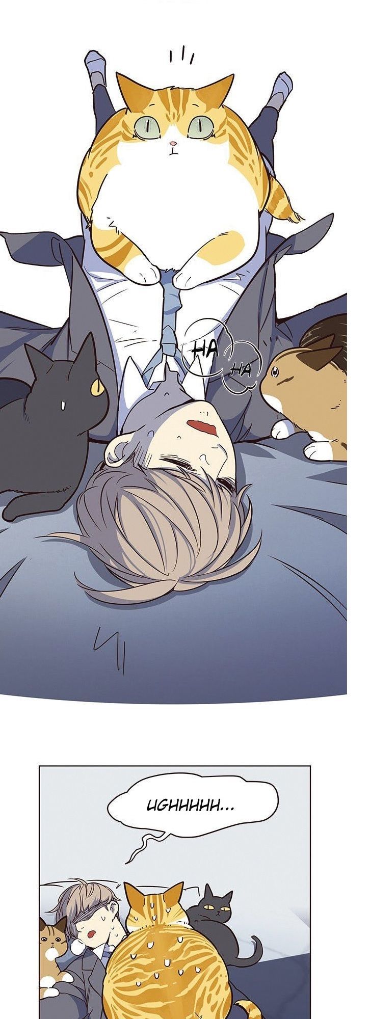 Hoá Thân Thành Mèo - Chapter 8 - Page 23