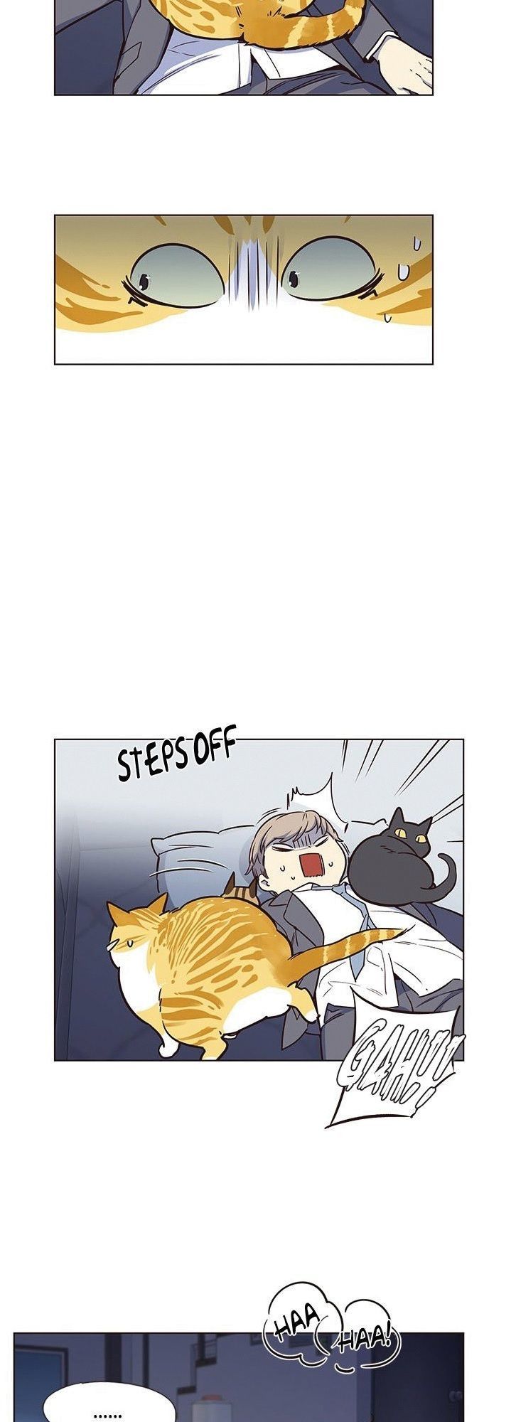Hoá Thân Thành Mèo - Chapter 8 - Page 24