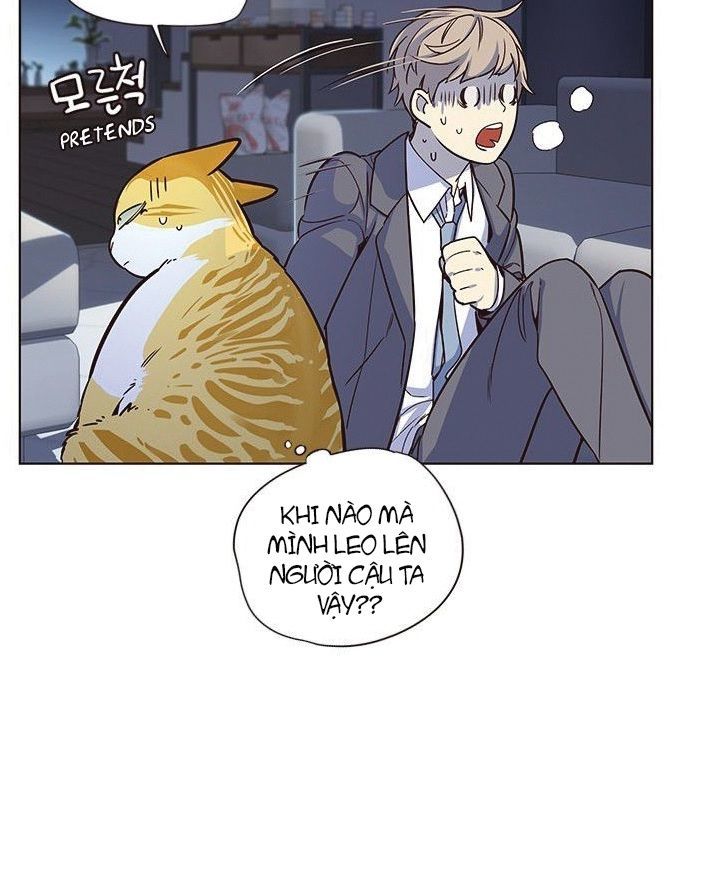 Hoá Thân Thành Mèo - Chapter 8 - Page 25