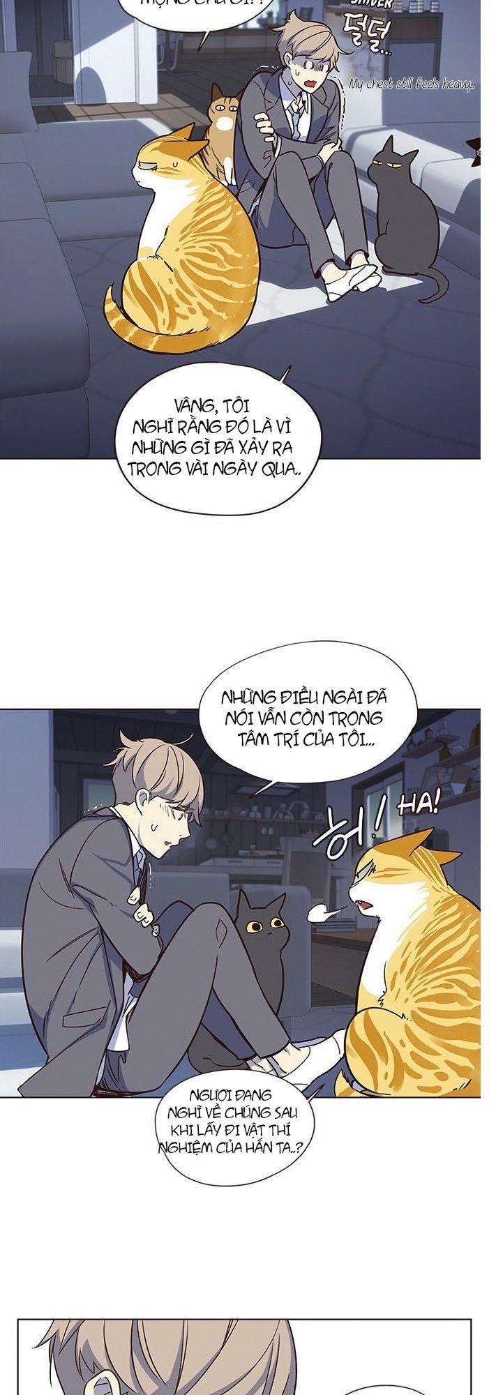 Hoá Thân Thành Mèo - Chapter 8 - Page 27