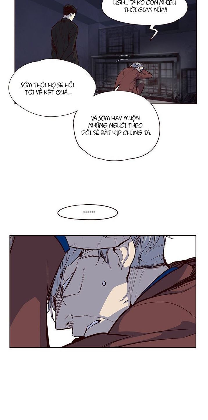 Hoá Thân Thành Mèo - Chapter 8 - Page 3