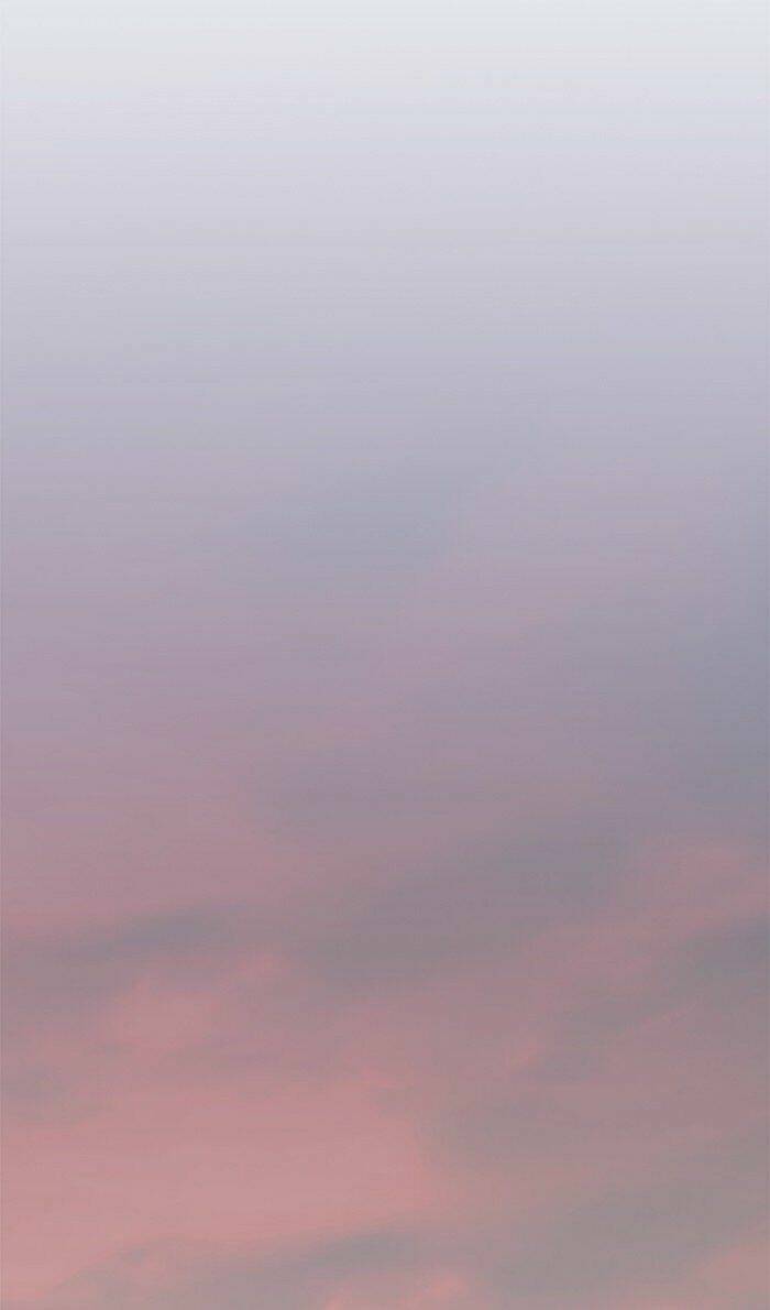 Hoá Thân Thành Mèo - Chapter 80 - Page 23