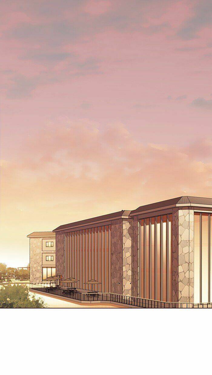 Hoá Thân Thành Mèo - Chapter 80 - Page 24