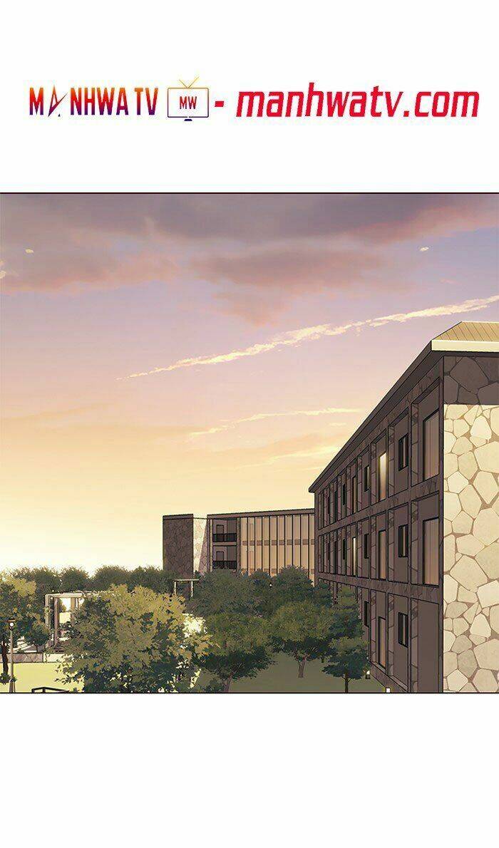 Hoá Thân Thành Mèo - Chapter 80 - Page 42